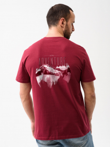 Футболка мужская 