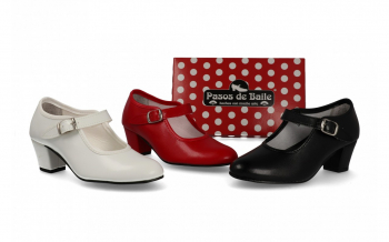 15 - PASOS DE BAILE
                ZAPATO BAILE SENORA