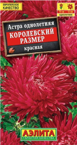 Астра Королевский Размер КРАСНАЯ