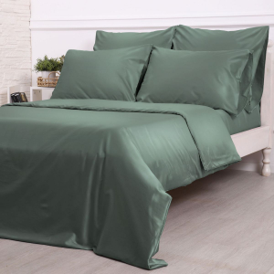 Комплект постельного белья Дымчатый изумруд Турецкий сатин