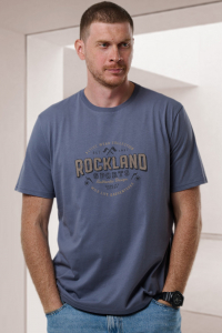 футболка мужская 3547-13 Новинка