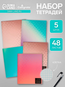 Тетради 5 штук (4 разные, 1 повторяющаяся), 48 листов в клетку «Мыльные пузыри», серые листы, обложка мелованная блок №2