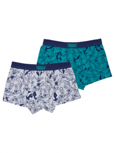 Трусы-брифы для мальчика, 2 шт. в комплекте