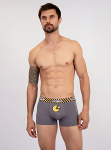 Боксеры из хлопка серые с принтом (Арт. 2055MUF)