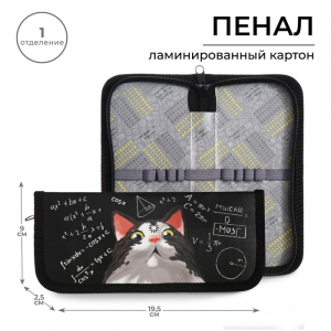 Пенал 1 секция, 90 х 195 х 25 мм, Calligrata 