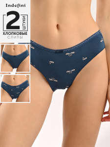 Женские трусы слипы 2 пары (Арт. 4101LUFZ)