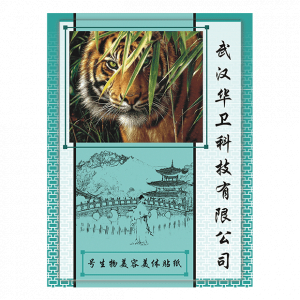 Биостикер № 4 обезболивающий