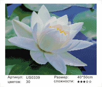 US0339 Без подрамника мозаика 40*50