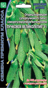 8064N Огурец Пучковое великолепие F1 5шт