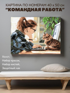 Картина по номерам 40*50 