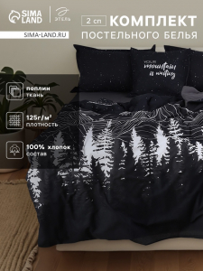 Комплект постельного белья Этель 2 сп Полярная ночь 175?215 см, 200?220 см, 50?70 см-2 шт., поплин 125 г/м?, хлопок 100%