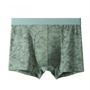 Трусы-боксеры A36437340