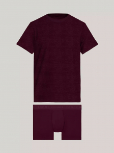Tommy Logo Trunk and T-Shirt Set 2-Piece