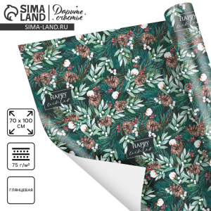 Упаковочная бумага на Новый год «Зимний хлопок», 70?100 см, глянцевая