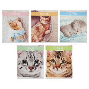 Тетрадь 36 листов в клетку, Calligrata «Кошки», МИКС