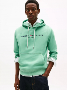 Embroidered Tommy Logo Hoodie
