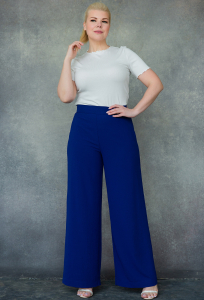 Брюки ASV 2413 синий