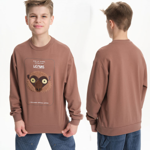 BFN3370 толстовка для мальчиков (1 шт в кор.)