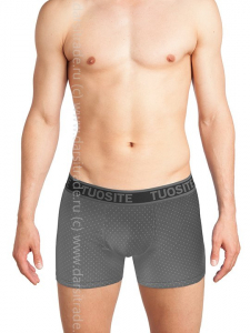 TS7823-1 Трусы мужские Дроп Tousite боксеры