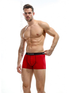 Трусы мужские N294BL Jolidon боксеры