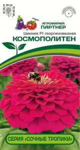 3373P Цинния F1 КОСМОПОЛИТЕН / георгиновидная 4шт