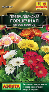 1340A Гербера Горшечная, смесь сортов 10 шт