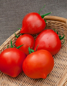 Томат Красный купол (Селекция 