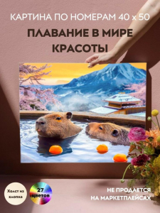 Картина по номерам 40х50 