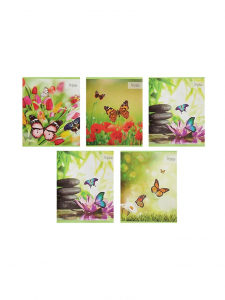 Тетрадь 36 листов в клетку Calligrata «Бабочки», серые листы, МИКС