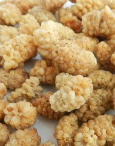 Тутовник белый (шелковица) 100 гр