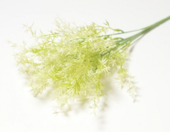 Искусственные цветы, Ветка в букете зелени аспарагуса с колючками (1010237)