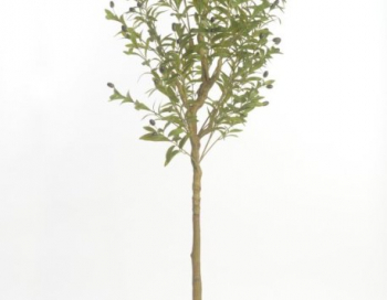 Искусственные цветы, Дерево олива 170 см зеленый