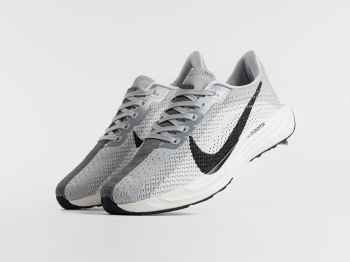 Кроссовки Nike Pegasus Plus
