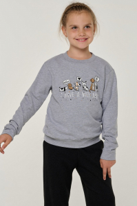 толстовка для девочки Д 520-03 -50%