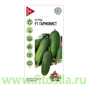 Огурец Гармонист F1 10 шт. Уд. с. корнишон (семена для проращивания)