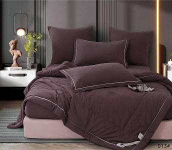 Одеяло Boris E-Shine Бархат Сатин с простыней на резинке по кругу и наволочками ODBORSH13