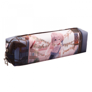 Пенал школьный 