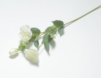 Искусственные цветы, Ветка эустома 3 головы (1010237)