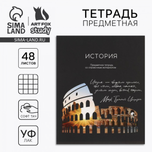 Тетрадь в клетку, предметная, 48 л.,на скрепке, А5 «Силуэт. История»