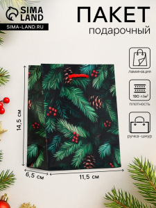 Пакет подарочный новогодний ламинированный, «Шишки», 11.5?6.5?14.5 см