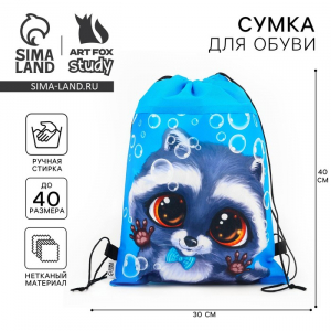 Мешок для обуви «Крошка енот» нетканое полотно, размер 41?30 см