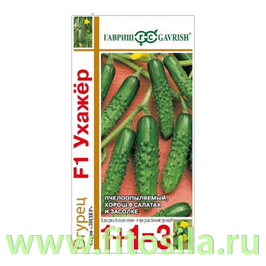 Огурец Ухажер F1 серия 1+1/20 шт. автор. (семена для проращивания)