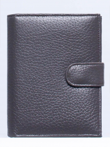 Обложка, автодокументы Richet Ri-039PM 763 Серый