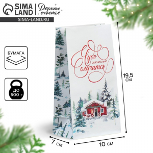 Пакет подарочный без ручек «Чудо обязательно случится», 10?19.5?7 см, Новый год