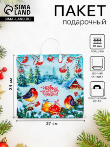Пакет новогодний «Птичья трель», полиэтиленовый с пластиковой ручкой, 37?34 см