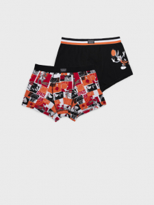 Трусы-боксеры для мальчика, 2 шт в комплекте