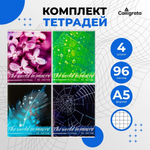 Комплект тетрадей из 4 штук, 96 листов в клетку Calligrata 