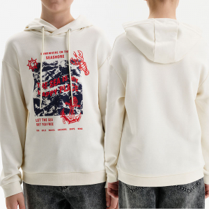 BFNK3371 толстовка для мальчиков (1 шт в кор.)