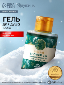 Гель для душа URAL LAB, 100 мл, аромат зимних пряностей, 100 мл, URAL LAB