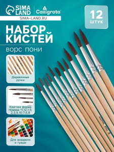 Кисти художественные для рисования, пони, 12 штук: № 1, 2, 3, 4, 5, 6, 7, 8, 9, 10, 11, 12, круглые, деревянная ручка, международный размер